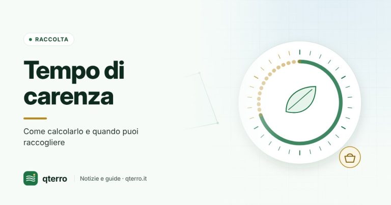 Tempo di carenza